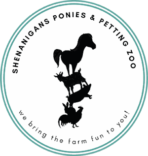 2026 Wednesdays at 10 am program - Shenanigan's Petting Zoo